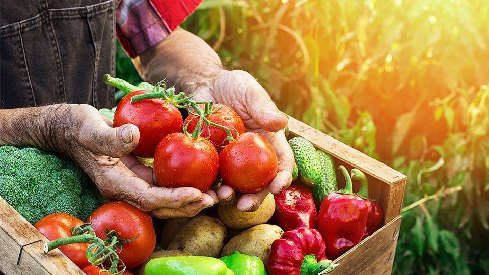 Bioprotection-biocontrol technologies make a crucial contribution to the transition to more agroecological farming