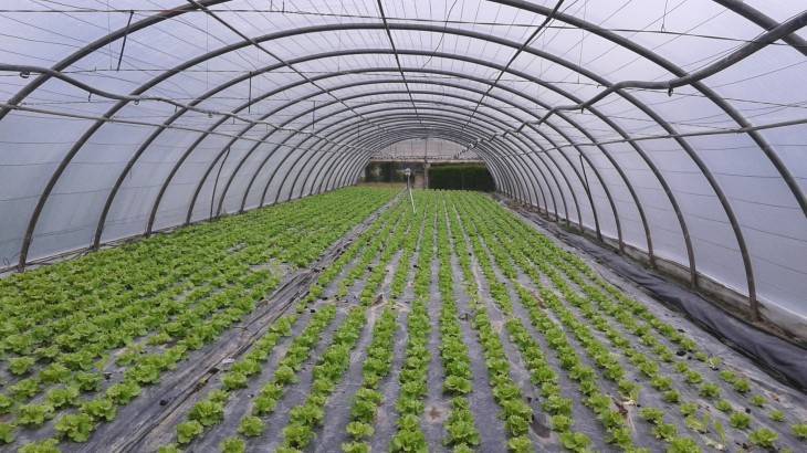 Buenas perspectivas para el manejo de residuos plásticos agrarios