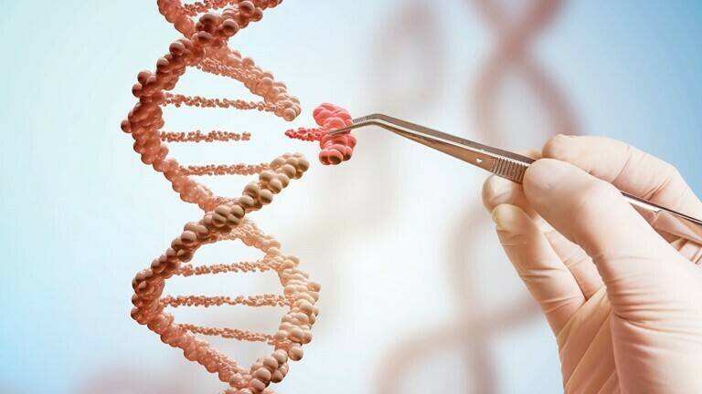 Comisión Europea: publicado el estudio sobre nuevas técnicas genómicas