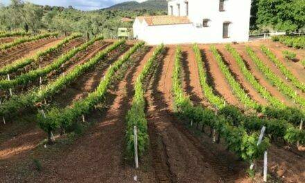 Una solución basada en bacterias vivas revoluciona el sector de la agricultura