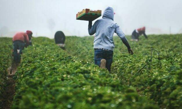 La agricultura en la UE necesita condicionalidad social