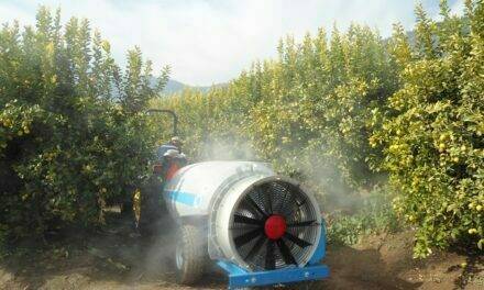 Fitosanitarios en España: nuevo decreto para la comercialización y el uso