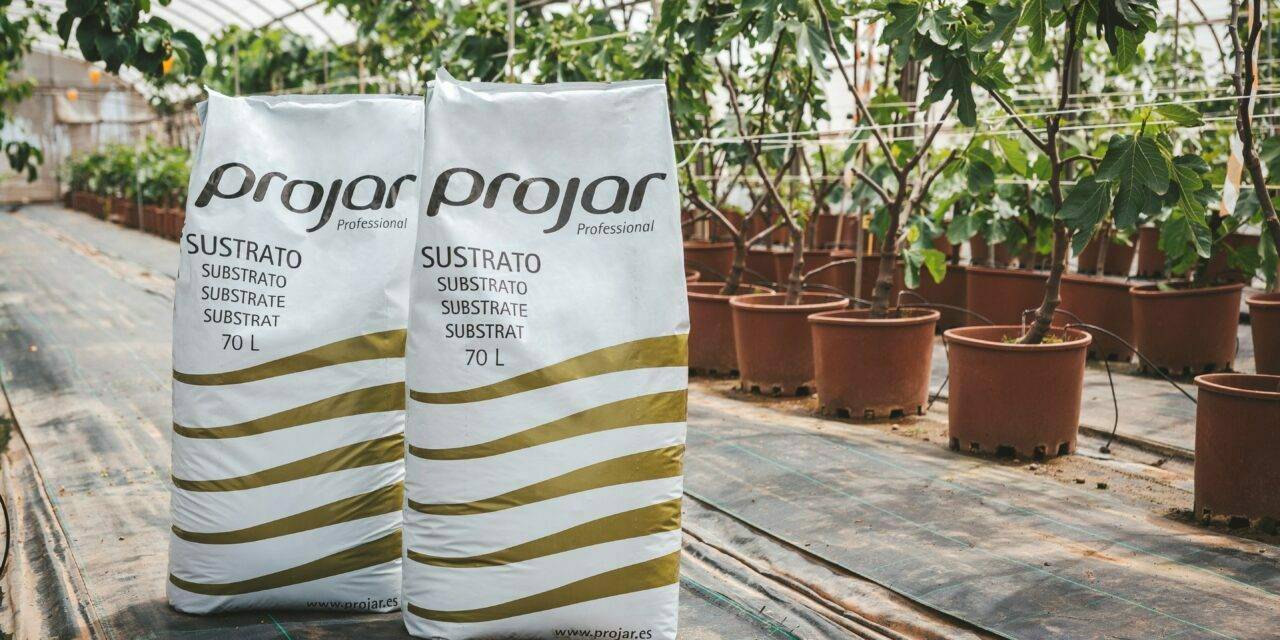 Projar presenta RS8, el sustrato que facilita la evolución radicular
