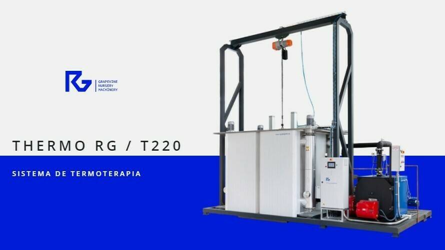 Termoterapia a nivel industrial para el tratamiento de Xylella fastidiosa en vid