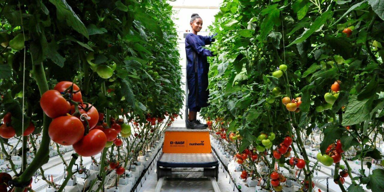 BASF: primeros pasos del avanzado centro en Etiopía