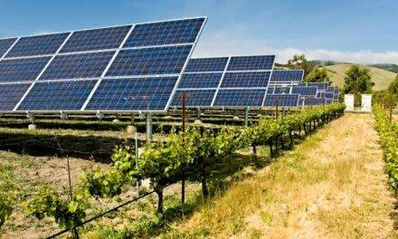 Agrivoltaica, una solución de compromiso