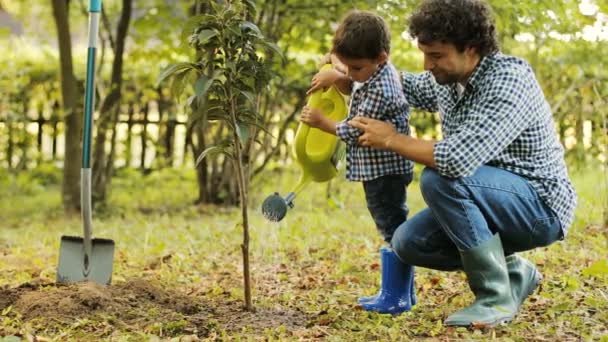 Do we really know how to water a tree?