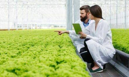 Fertirriego: interpretación de la información para la toma de decisiones