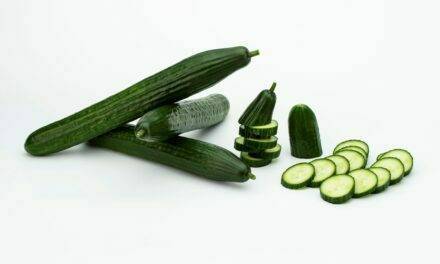 Sakata presenta IZAL la nueva variedad de pepino holandés con las mejores características del mercado