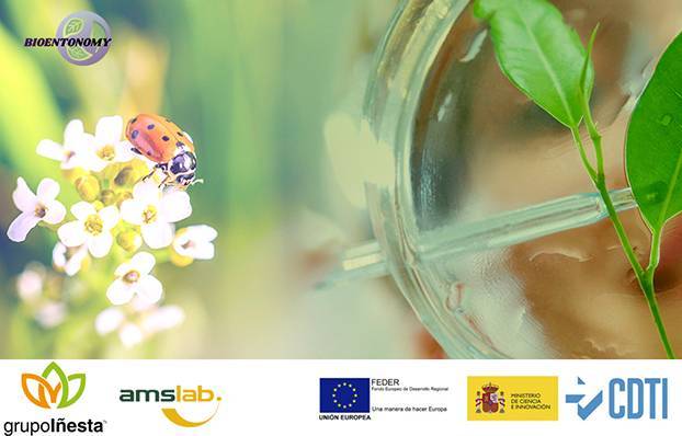 Bioentonomy, el proyecto para obtener insumos agrícolas a base de insectos