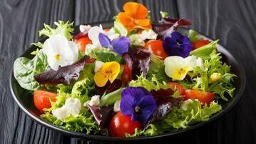 GreenTech Live & Online reveals theme and outline programme