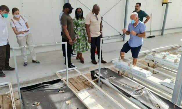 Tecnologías hortícolas novedosas para empresarios de Nigeria