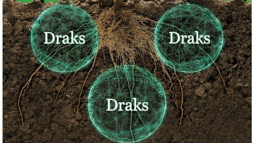 Draks, la nueva formulación microbiana de Agriges para unas raíces sanas y robustas