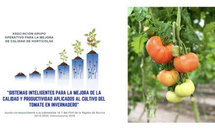 Fertirrigación eficiente: Proyecto Calypto