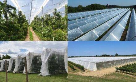 Fruticultura controlada y ¿protegida?