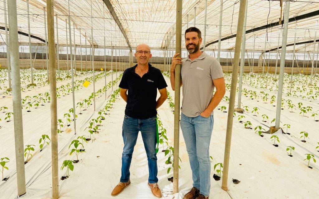 Gama Agroclima de Naturplás, la apuesta segura para tu cubierta de invernadero