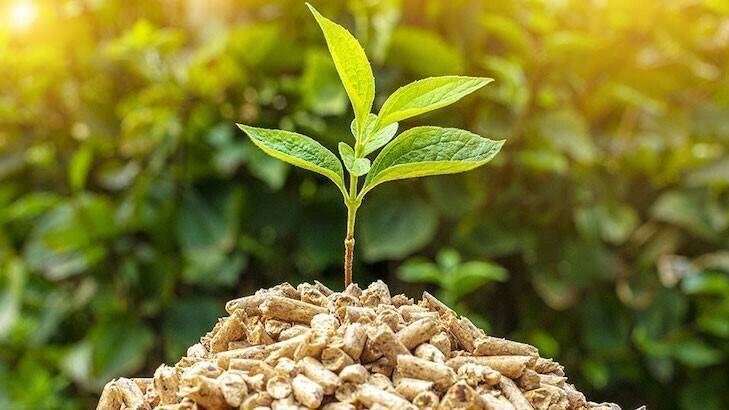 EIMA Energy, the exhibition dedicated to biomasses
