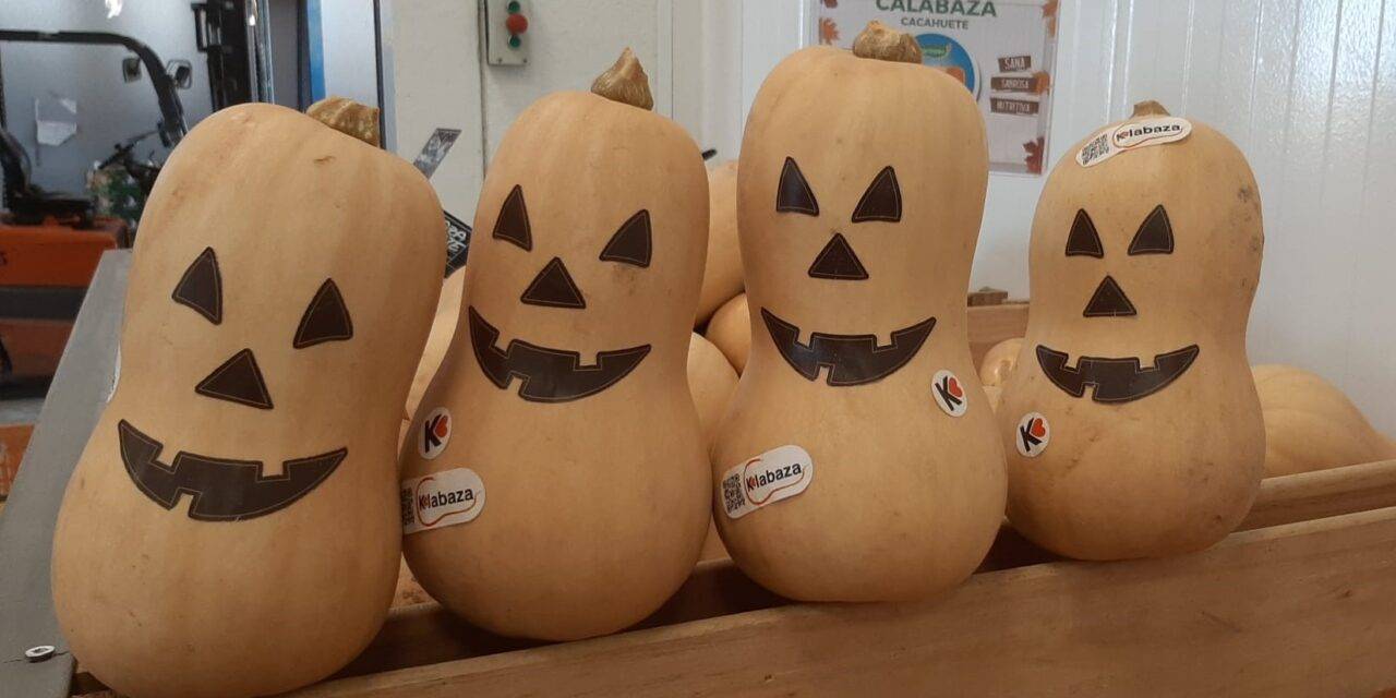 Hallowen se reinventa con la calabaza cultivada en España para decorar, consumir y luchar contra el desperdicio alimentario