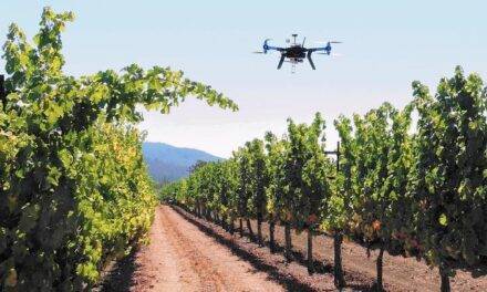 España apuesta por el uso de drones en agricultura