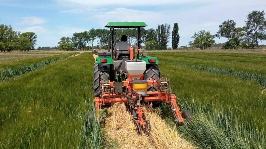 Sembradora directa de cucurbitáceas, ganadora del premio CITA Argentina 2021