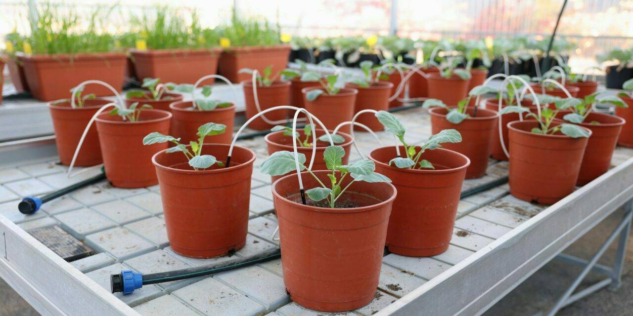 La conservación del suelo agrícola como elemento clave para nuestro futuro y bienestar