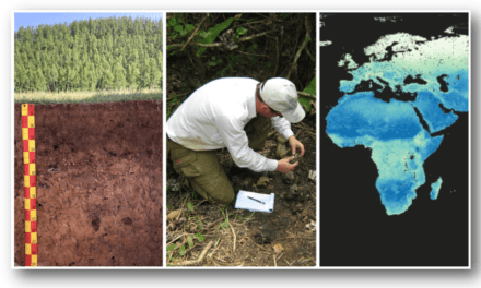 ISRIC celebrates 55 years of collaboration on soil information