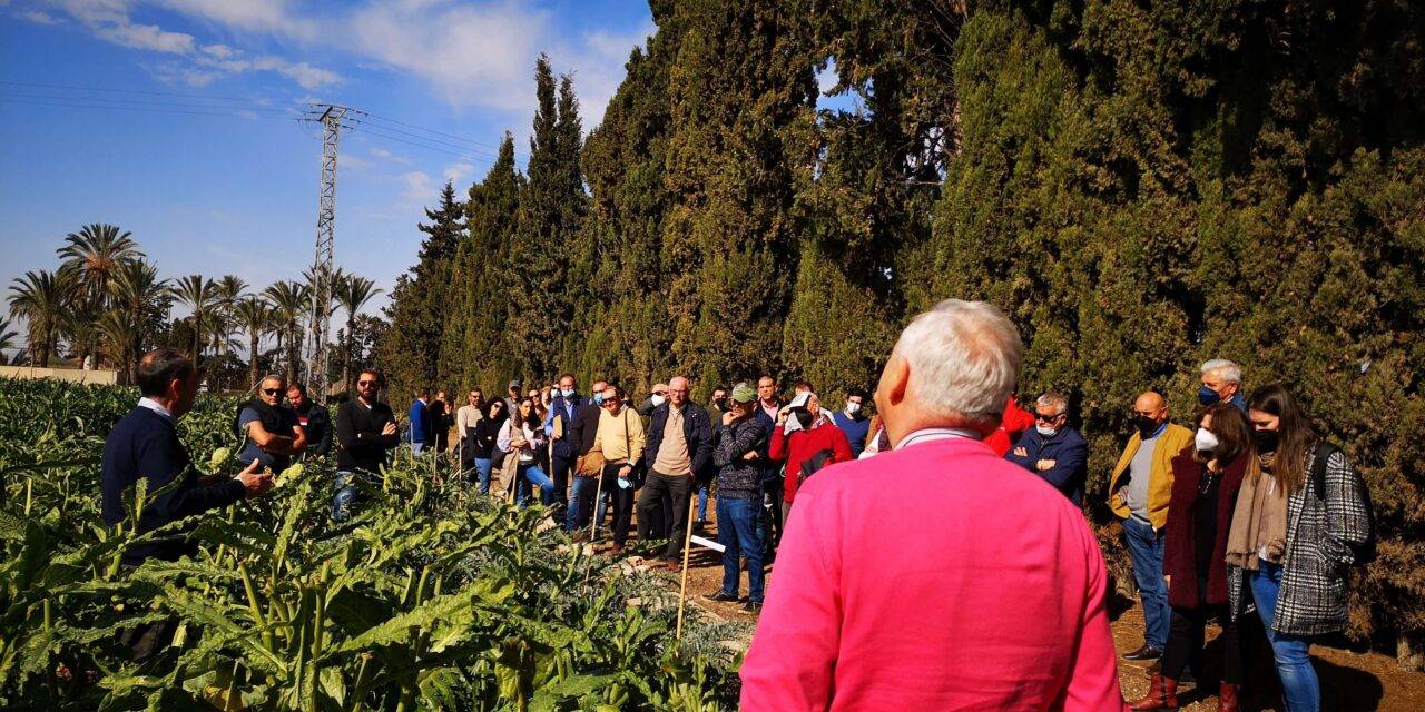 Puesta al día en alcachofa en la Estación Experimental Agraria de Elche
