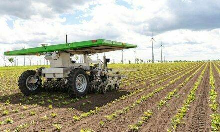 FARMDROID FD20, el robot autónomo para siembra y deshierbe mecánico