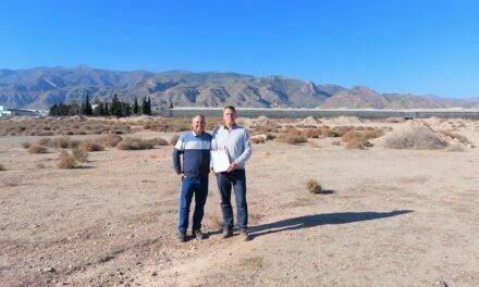 KWS Vegetales expande su negocio en España