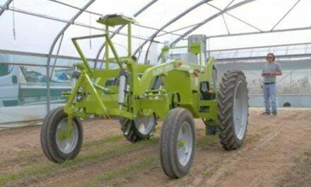 BIPBIP, la máquina para deshierbe mecánico en cultivos intensivos