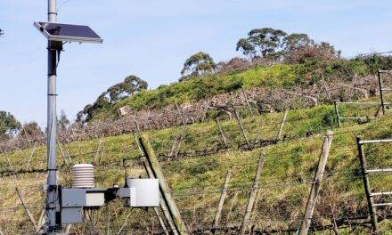Las enseñanzas del proyecto FitoVit para una viticultura sostenible