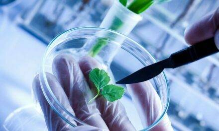 26 de abril, Día de la Propiedad Intelectual