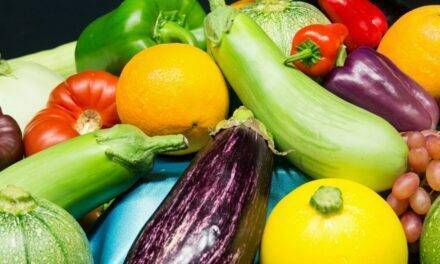 Andalucía, donde la hortofruticultura marca la diferencia