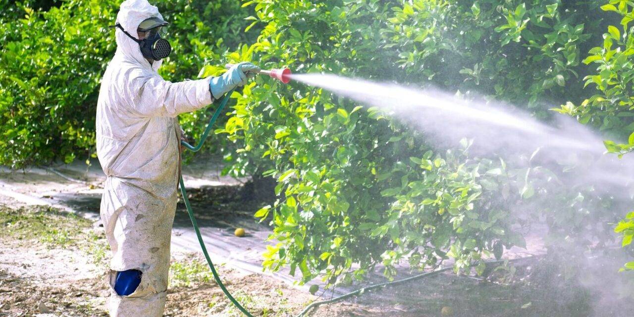 ¿Qué determina los fitosanitarios utilizados en la producción?