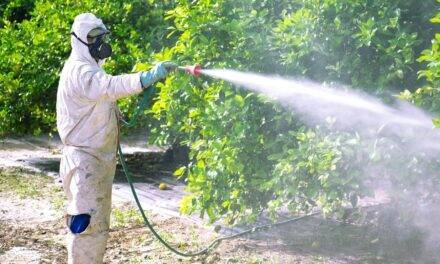 ¿Qué determina los fitosanitarios utilizados en la producción?