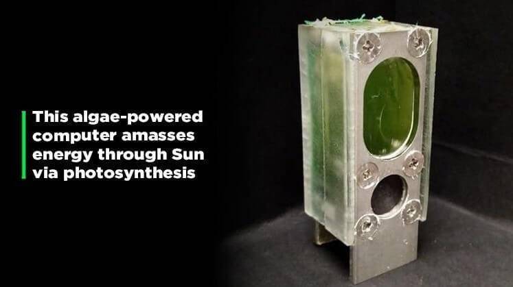 El ordenador que funciona a base de algas