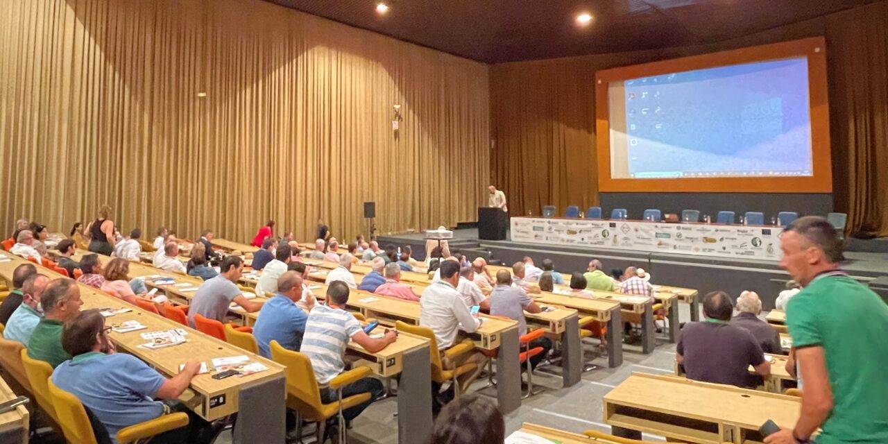 Los cultivos tropicales remarcan su importancia en la agricultura española