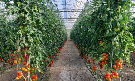 La revolución tecnológica y agro productiva de Almería