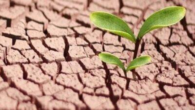 sequía