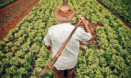9 de septiembre: Día Mundial de la Agricultura