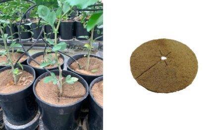 Novedades Iberflora 2022: Projar presenta su protector antihierbas Discprotect 