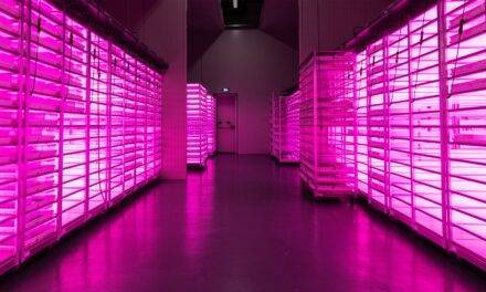 Bever Innovations: Iluminación LED inteligente