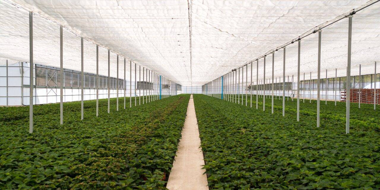 Water savings and agrotextiles: new research data from Arrigoni at EIMA 2022