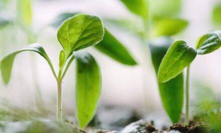 El sector agro da las claves que marcarán el futuro de la agricultura