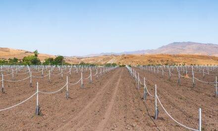 Swpipe, la tubería flexible de color blanco de Soaplast