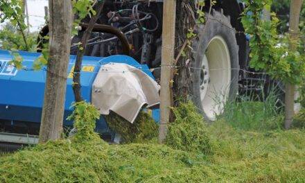 Trituradora Nobili SDS serie 1000: Una combinación de tecnología y sostenibilidad