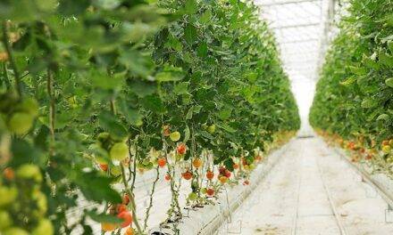 Grupo Armando Álvarez presente en EIMA con sus coberturas para árboles frutales y demás productos