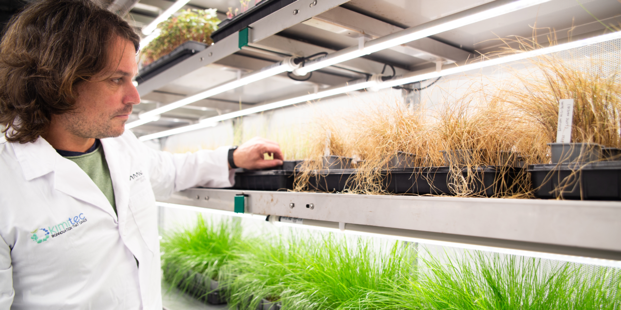 Kimitec recibe el quinto proyecto Horizonte Europa para desarrollar un sustituto natural al glifosato