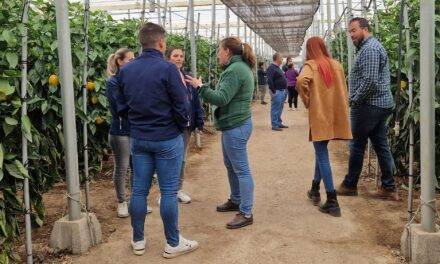 Semillas Fitó cierra el año con excelentes novedades en pimiento y tomate