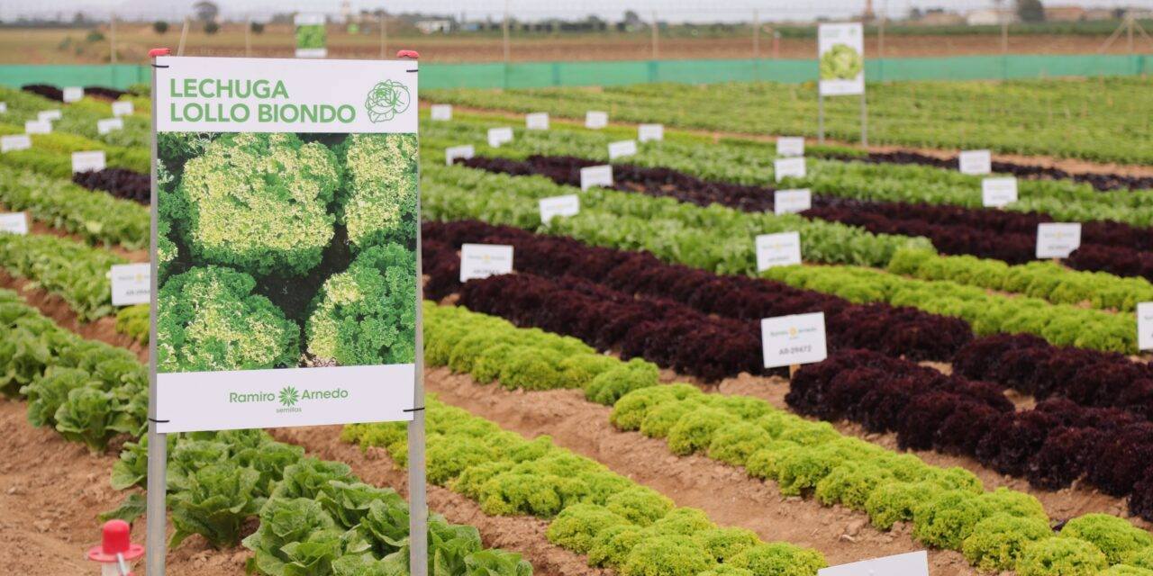 Ramiro Arnedo Semillas: jornadas de cultivos al aire libre